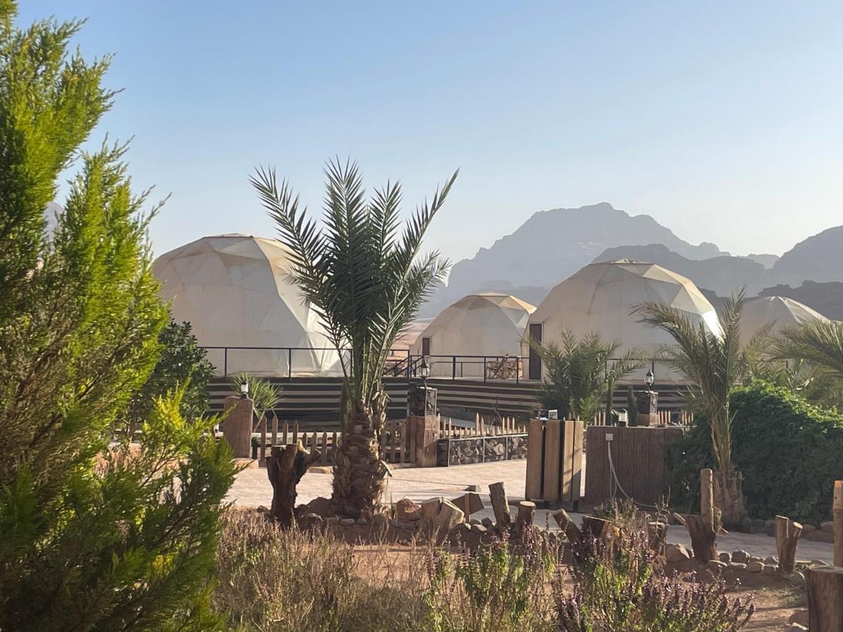 فندق وادي رمفي  Hasan Zawaideh Camp المظهر الخارجي الصورة